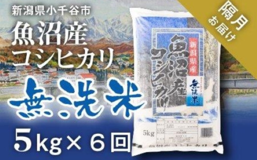 先行予約 令和8年産 魚沼産コシヒカリ 無洗米 定期便5kg×6回 （隔月お届け）米太【0020-KT15DB00-01】