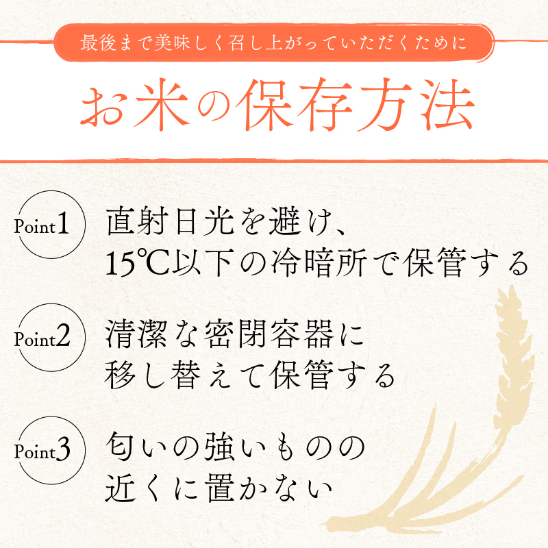 【先行受付】 新米 みずかがみ 白米 5kg 令和8年産 近江米 令和8年 米 お米 精米 ご飯 先行予約