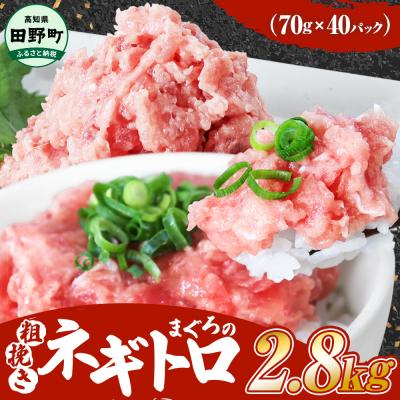 ふるさと納税 田野町 【四国一小さなまち】≪カネアリ水産≫ まぐろのネギトロ　2.8kg(70g×40パック) | 