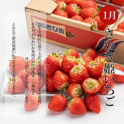 ふるさと納税 坂出市 【発送月固定定期便】冬のいいとこどり定期便(12月・1月・2月)全3回 |  | 02