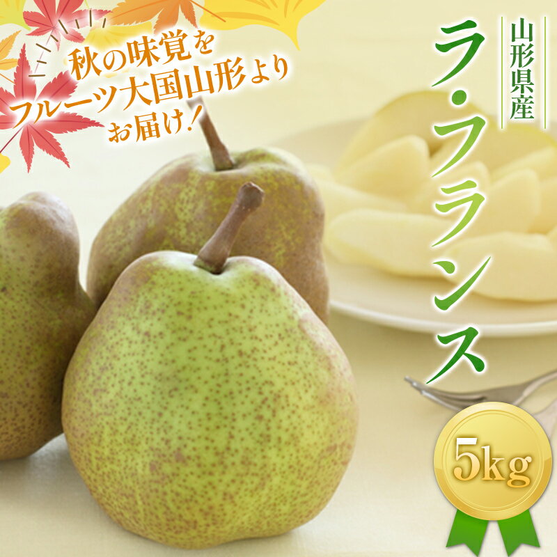 【ふるさと納税】 《先行予約》山形県産 西洋梨 ラ・フランス 5kg (13～18玉) 11月上旬から順次発送 洋梨 洋なし ラフランス 秋果実 果物 くだもの フルーツ ギフト 産地直送 山形県 西川町 月山 FYN9-596var
