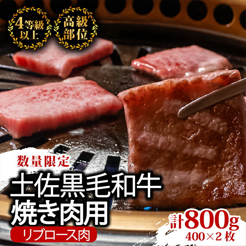 【ふるさと納税】 土佐 黒毛 和牛 焼肉用 800g （ 400g × 2パック ） | 特撰 リブロース ロース A4 A5 ランク 贅沢 焼き肉 やきにく 小分け 冷凍 国産 ブランド 牛肉 大人気 ギフト おすすめ ランキング BBQ バーベキュー アウトドア 高知県 須崎 ふるさと納税和牛 TM016