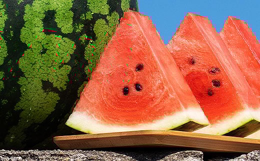 先行予約 尾花沢すいか 5Lサイズ 約10kg×1玉 7月下旬〜8月10日頃発送 2026年産 令和8年産 大玉 すいか スイカ 西瓜 果物 フルーツ 産地直送 山形県 尾花沢市 JA ja-su5x