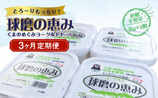 
【3ヶ月定期便】球磨の恵みヨーグルトセット（砂糖不使用1kg×4個）計12kg
