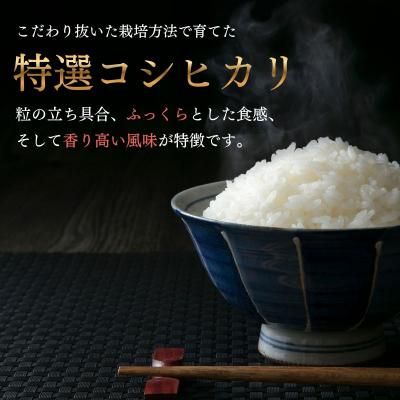 ふるさと納税 飯山市 【令和8年 新米予約】コシヒカリ 精米 10kg (5kg×2袋)牛宿農園 |  | 01