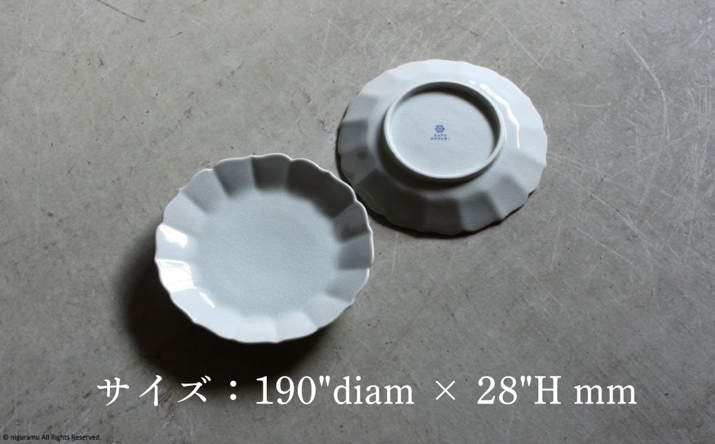 【 KATA KUTANI 】 菊皿 190mm / 貫入白磁（5枚セット）九谷焼 09-03