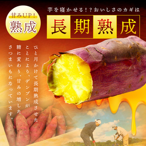 ＜てんとうむしばたけ＞有機さつまいも(紅はるか)5kg