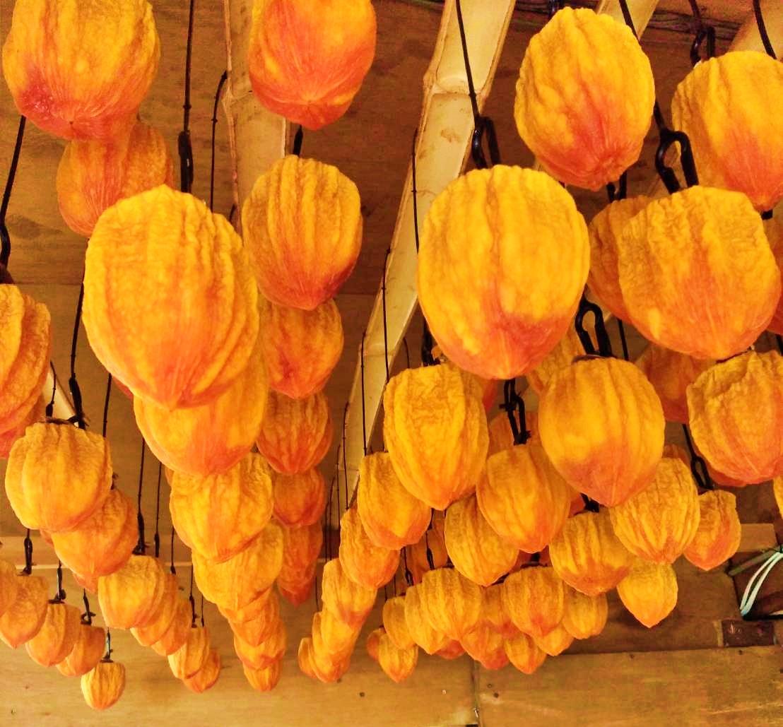 山梨県南アルプス市産　あんぽ柿（平種柿）　大玉8個　化粧箱入り ALPAH005