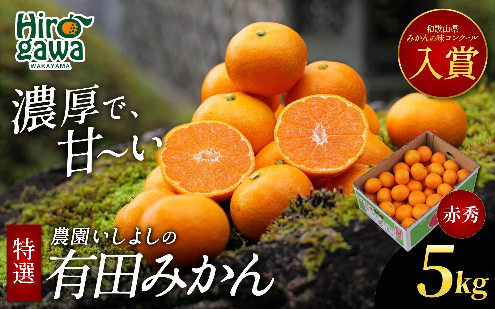
                  有田 みかん 特選 赤秀 5kg 【 創業120年 農家直送 】 / 温州みかん 有田みかん 甘い ギフト 贈答 高級 和歌山 柑橘 ※2026年11月より2027年1月下旬に順次発送予定 【isy004-gif-5B】
                