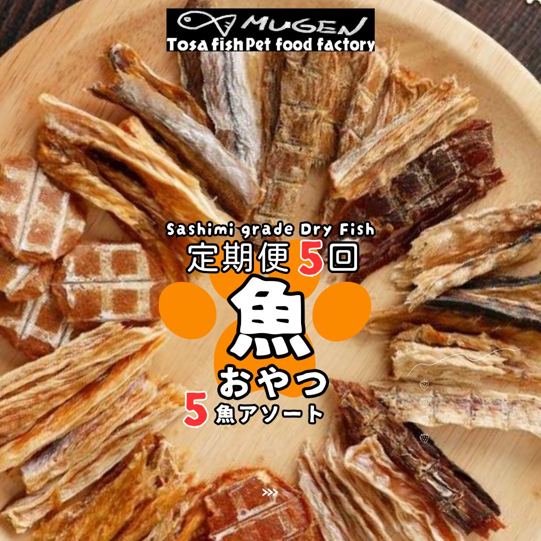 【ふるさと納税】M197【定期便5回】【お魚100％・完全無添加おやつ】手作りペットフードセット(1魚種20～25g×5袋×月1回) 5回分 かつお まぐろ ジャーキー スティック チップス アレルギー対策 犬用猫用 サプリメント シニア ジュニア 幼犬 幼猫 ジッパー付き小袋 送料無料