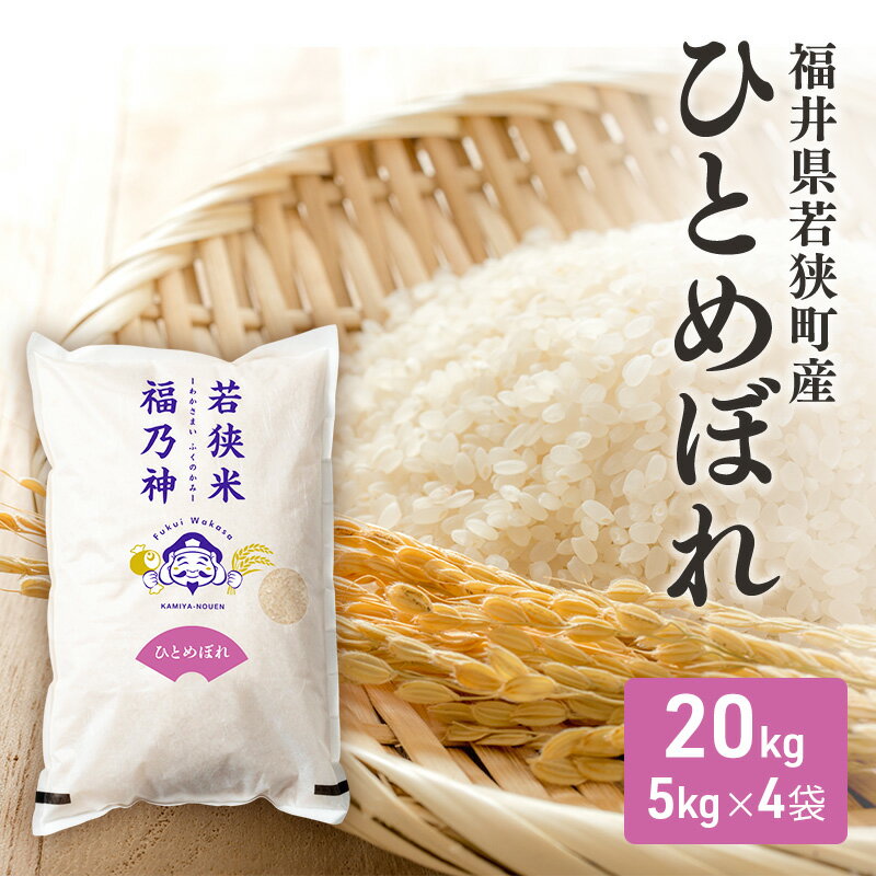 【ふるさと納税】令和7年産福井県若狭町ひとめぼれ（一等米）20kg（神谷農園） 5kg×4袋 お米 ブランド米 銘柄米 ご飯 おにぎり お弁当 産地直送 和食 主食 　お届け：2026年10月以降発送
