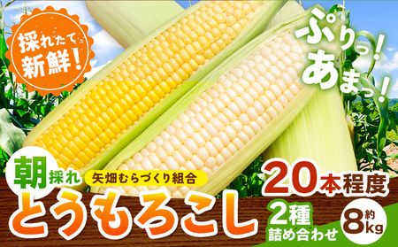 とうもろこし恵味白い恵味約8kg朝採れ《6月下旬-7月下旬頃出荷》トウモロコシ野菜