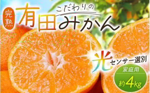 【2025年12月分】 ＼光センサー選別／農家直送 こだわりの有田みかん 約4kg＋250g(傷み補償分) 【ご家庭用】【12月発送】みかん ミカン 有田みかん 温州みかん 柑橘 有田 和歌山【nuk148-12A】