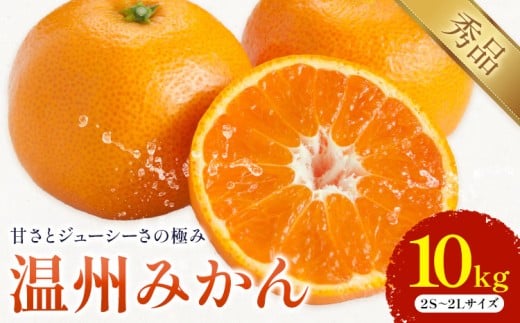 温州みかん 約10kg 日本フルーツ株式会社 熊本県 荒尾市 《11月上旬-12月上旬頃出荷》 デコポン 果物 秀品 フルーツ スイーツ デザート ギフト ご贈答