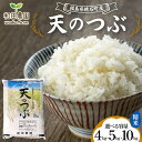 【ふるさと納税】《選べる容量》令和6年産 天のつぶ 《4kg 5kg 10kg》 2024年11月から発送 精米 米 コメ こめ 福島県 和田農園 F6Q-183var