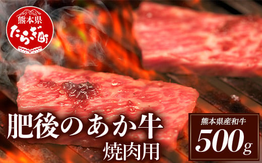 ＜多良木町＞熊本県産 肥後のあか牛 焼肉用 500g 【 あか牛 赤牛 お肉 肉 牛肉 焼肉 焼肉用 焼き肉 焼き肉用 冷凍 】 030-0376