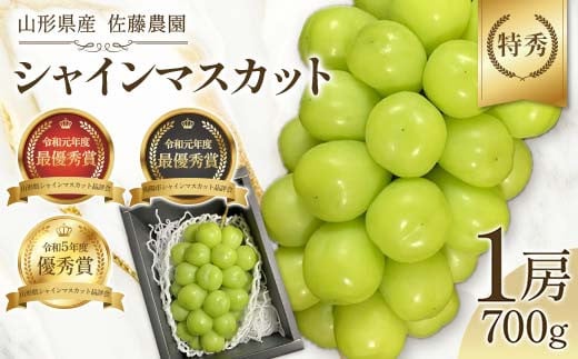 
            【希少数量限定】 最優秀賞シャインマスカット 特秀 1房 700g 【生産者佐藤大輔】 山形県産 《先行予約2025年度9月上旬発送開始》  マスカット ぶどう ブドウ 葡萄 デザート フルーツ 果物 くだもの 果実 食品 山形県 FSY-1297
          
