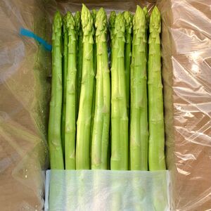 個性アスパラ（L-2L混合）さぬきのめざめ1kg (訳あり)【予約受付：御用意出来次第発送】【L-14】