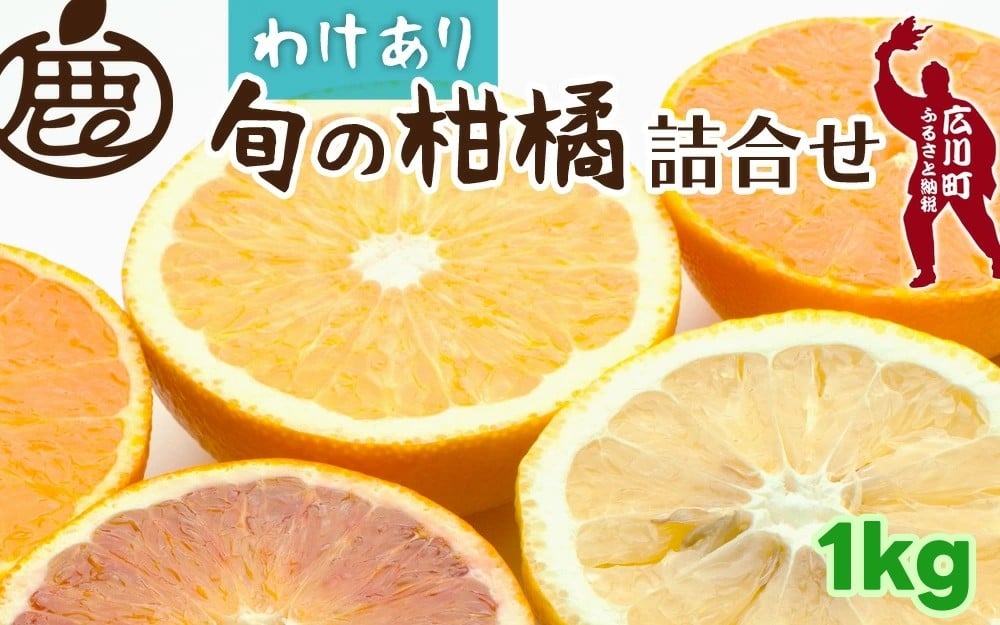 
            柑橘 詰合せ 1kg+250g 訳あり 光センサー / みかん 不知火 清見 八朔 伊予間 セミノール レモン ３種類以上 詰め合わせ 晩柑 ※1月上旬〜6月上旬に順次発送 ※北海道・沖縄・離島への配送不可【ikd049-c-1A】
          