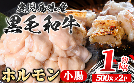 【A01039】鹿児島県産黒毛和牛 ホルモン 小腸 (計約1kg・約500g×2P) 鹿児島 国産 九州産 黒毛和牛 牛肉 ホルモン 牛ホルモン 生ホルモン モツ 小腸 真空パック 個包装 小分け 冷凍 焼肉 もつ鍋 煮込み【新村畜産】