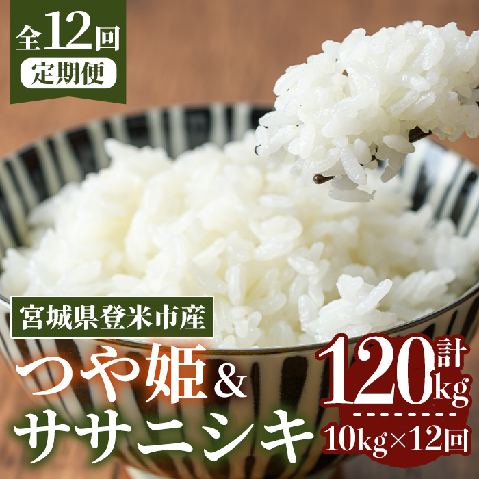 ≪令和7年産≫【12回定期便】ササニシキ・つや姫 計120kg (各5kg×12回配送) 登米市産 お米 おこめ 米 コメ 白米 ご飯 ごはん おにぎり お弁当 12か月 頒布会【登米ライスサービス株式会社】tm171