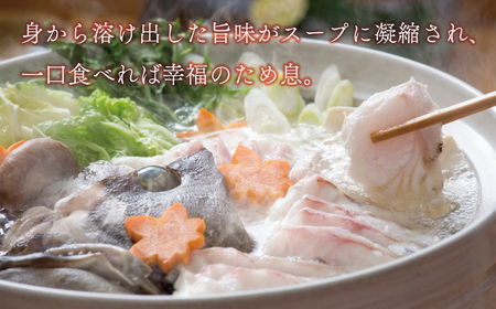 海鮮 福袋 伊勢海老 クエ セット 伊勢海老 クエ