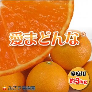 愛まどんな(家庭用)約3kg　12月上旬～中旬に順次発送【C21-34】【1538889】
