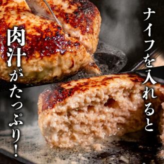 6ヶ月定期便 四万十ポーク入りハンバーグ 2.4kg(200g×12個)