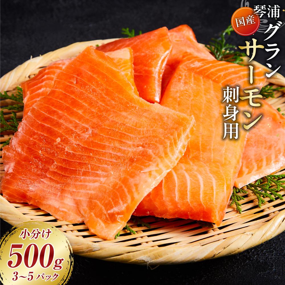 【ふるさと納税】＼数量限定 国産サーモン／ 琴浦 グランサーモン 500g ( 3-5パック ) | 刺身用 小分け 生食 国産 陸上養殖 刺身 刺し身 さしみ 冷凍 鮭 サケ 魚 さかな 海鮮 魚介類 鳥取 人気 おすすめ 真空 個包装