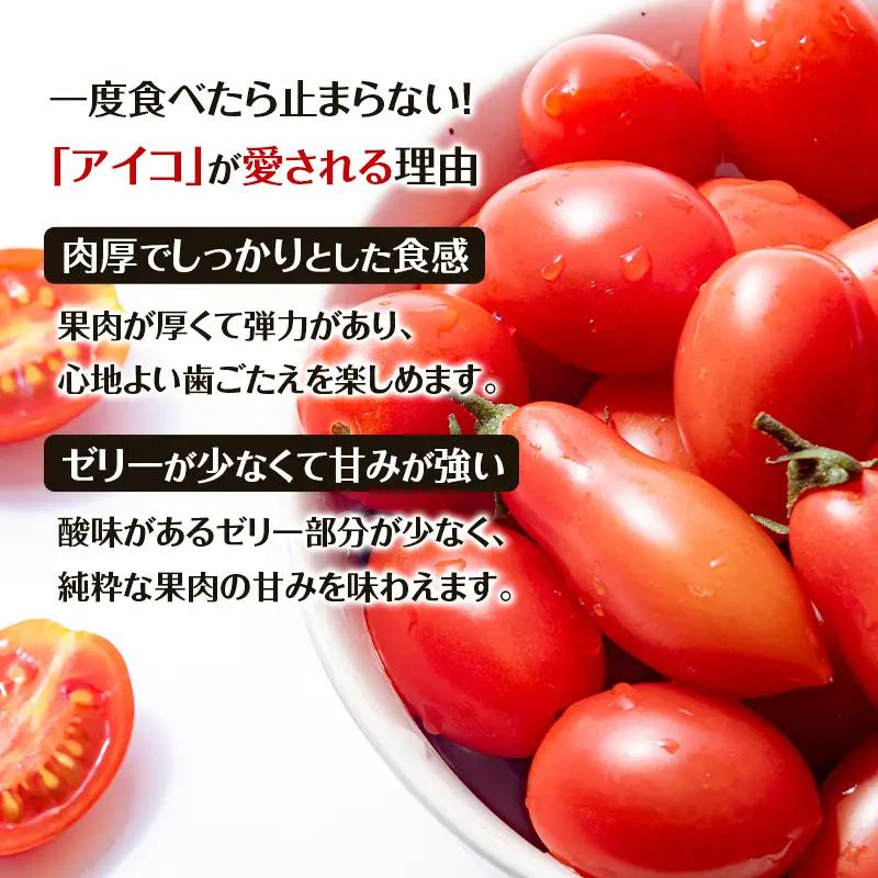 8月発送開始[2026年発送] 超完熟ミニトマト【 アイコ 】3kg 栽培期間中 農薬・除草剤不使用 サイズ混載 トマト ミニトマト 野菜 北海道 仁木町 [アイコファーム] 
