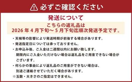 ＜ R8年熊本地震復興支援 ＞熊本市植木町産 小玉すいか 2玉 合計4～5kg【2027年4月下旬～5月下旬迄順次発送予定】 スイカ 西瓜 果物 くだもの フルーツ