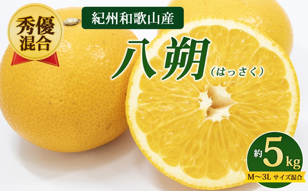 
                  【先行予約】【秀優混合】紀州和歌山産 八朔（はっさく）約5kg（箱込み）M～3L サイズ混合
                