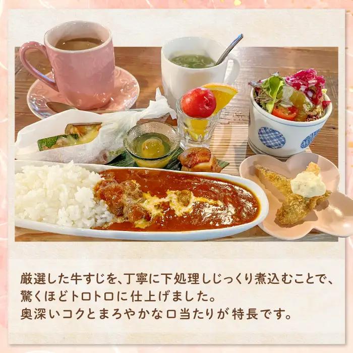 牛すじトロトロハヤシ 5個セット【ハヤシライス 5個 1食 200g レトルト食品 レトルトハヤシ レトルト 長期保存 すじ肉 牛肉 詰め合わせ セット 備蓄用 災害備蓄 島根県 大田市】