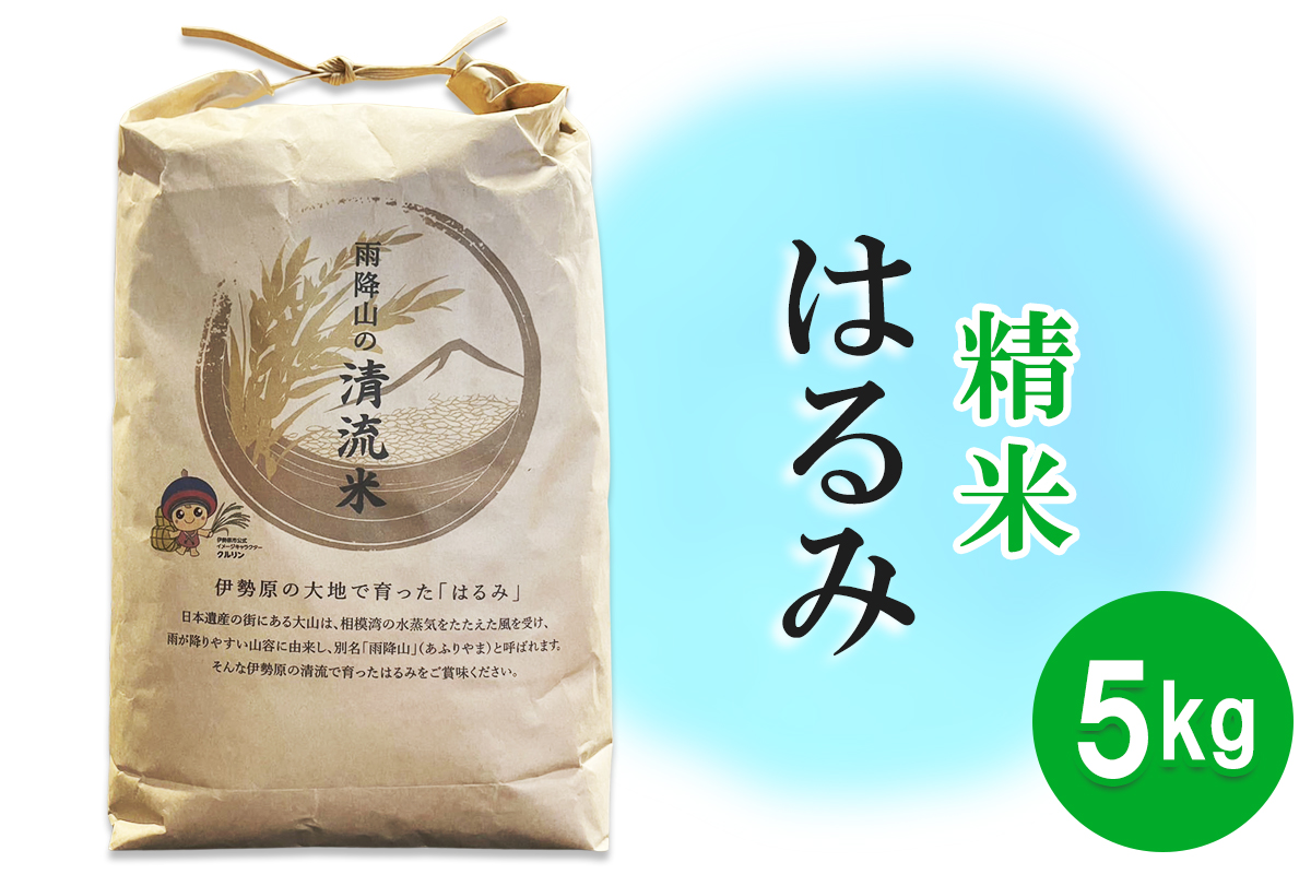 令和7年産 伊勢原の米「はるみ」5kg 精米済｜米 お米 伊勢原 はるみ 精米 いせはらVILLAGE [1035]
