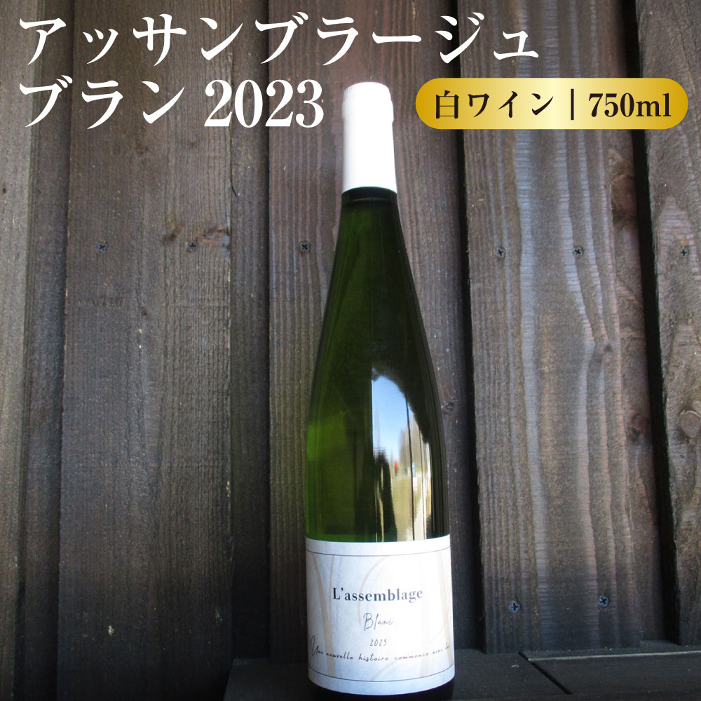 【ふるさと納税】白ワイン L'Assemblage Blanc 2023(アッサンブラージュ ブラン2023) 白 ワイン 白ワイン 750ml お酒 酒 洋酒 アルコール ぶどう酒 北海道 鷹栖町 送料無料
