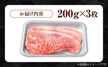 佐賀牛 サーロインステーキ 600g / サーロインステーキ [IAG046]