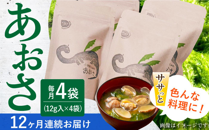 
            【12回定期便】小値賀でとれたあおさ（12g入）×4袋＜factory333＞ [DAS020] 常温 あおさ あおさ 島 あおさ 便利 磯 海藻 長期保存 あおさ 青さ アオサ 味噌汁 お吸い物 乾燥 磯部
          
