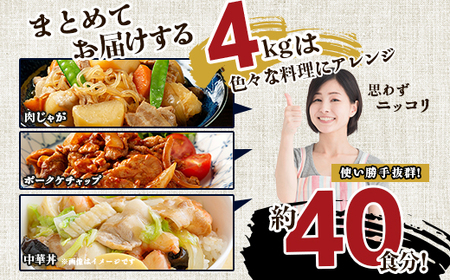 豚肉 切り落とし 4kg 国産 ブランド 豚 梅里豚 小分け 小間切れ コマ切れ 500g × 8パック 480