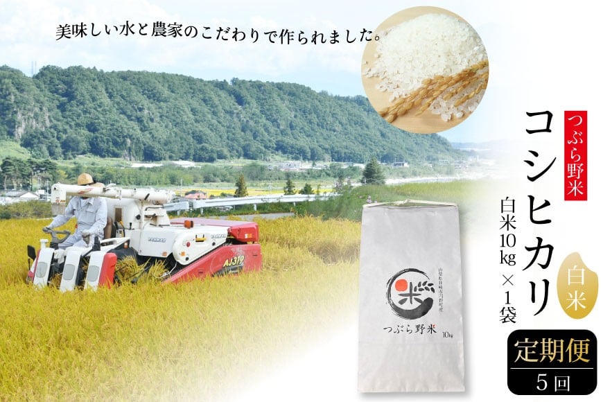 
            米 令和7年 5回 定期便 つぶら野米 コシヒカリ 白米 10kg×5回 総計50kg / つぶら野米 / 山梨県 韮崎市 [20741644] こめ コメ お米 精米 こしひかり
          