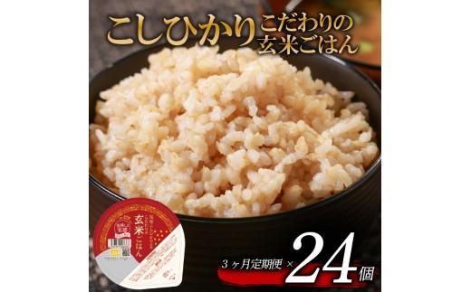 定期便 3回 こしひかり 玄米ごはんパック 120g 24個 玄米 米 お米 ごはん ご飯 こめ パックライス パックご飯 パックごはん ご飯パック ごはんパック パック ライス 備蓄 保存 非常 防