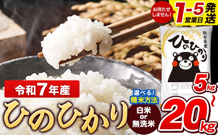 令和7年産 【総合ランキング1位獲得】 ひのひかり 白米 or 無洗米 選べる精米方法 内容量 5kg 10kg  20kg 熊本県産 白米 精米 ひの《1-5日以内に出荷予定(土日祝除く)》---gkt_lcl_589_5kg---