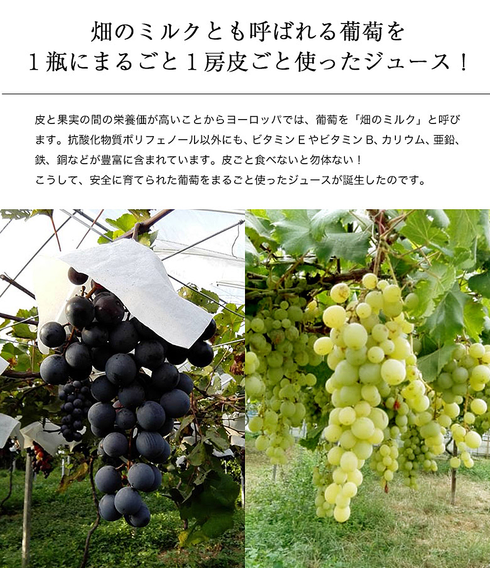 【New】幸田町産 ぶどう使用(無添加、無糖、無加水)100％ ジュース 多種類 6本詰め合わせ ぶどうジュース_イメージ3