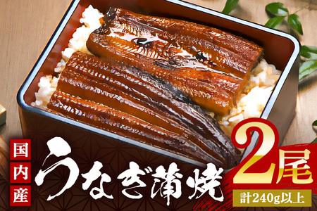 やわらか国内産 うなぎ蒲焼 満足サイズ! 120～140g 2尾 計240g以上 ふっくら蒲焼き ブランド鰻使用 秘伝のタレ・山椒付き 湯煎で簡単調理 うな丼 ちらし寿司 贈答用 ギフト 冷蔵配送 国産 茨城県 潮来市 (A23-012)