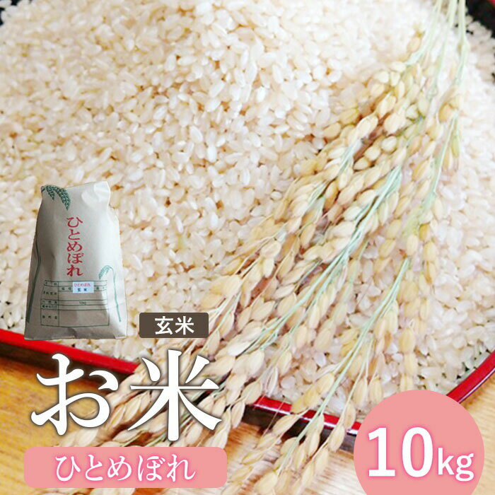 【ふるさと納税】新米『令和7産』お米 ひとめぼれ 玄米 10Kg | お米 ひとめぼれ ごはん 国産 宮城米 東北米 ふるさと納税 宮城県 白石市 木須果樹園 オンライン申請 ワンストップ【1215102】