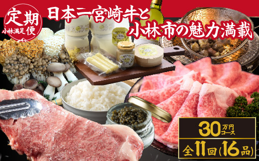 
            【定期便・全11回】日本一宮崎牛と小林市の魅力満載!!! 小林満足ワクワク定期便 30万円コース（国産 牛肉 国産牛 黒毛和牛 マンゴー お菓子 豚肉 鶏肉 キャビア 定期便）
          
