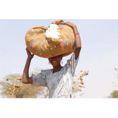 ふるさと納税 豊中市 【ナチュラル】オーガニックコットンドットワッチ |  | 01