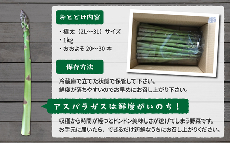 先行予約2025年発送【のららぼ農園】農家直送！新鮮！春獲れ極太（2L〜3L）アスパラ1kg（およそ20〜30本）※2025年3月下旬〜5月下旬発送予定