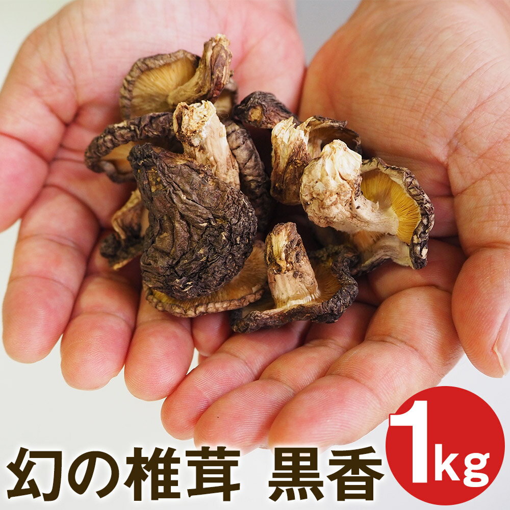 【ふるさと納税】幻の椎茸 黒香 1kg 希少品種の乾燥椎茸 小粒 ジャミ バレ しいたけ きのこ ご家庭用 規格外品 訳あり 熊本県産 菊池市産 九州産 送料無料 《30日以内に出荷予定(土日祝除く)》