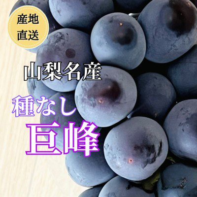 ◆2026年年発送◆産地直送　山梨名産!種なし巨峰　2房～3房(約1kg)【配送不可地域：離島】