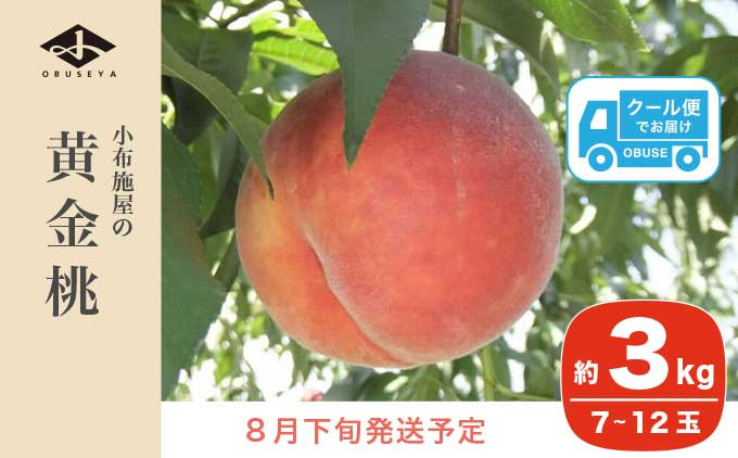 
            黄金桃 約3kg 7～12玉 ［小布施屋］ 桃 もも モモ フルーツ 果物 令和7年産 【2025年8月下旬発送】 ［A-11］
          